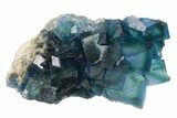 Cubic, Blue-Green Fluorite Crystals on Quartz - China #139754-1